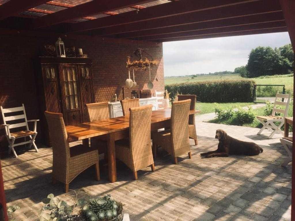 Higgen Adamla Apartment Stedesdorf Luaran gambar